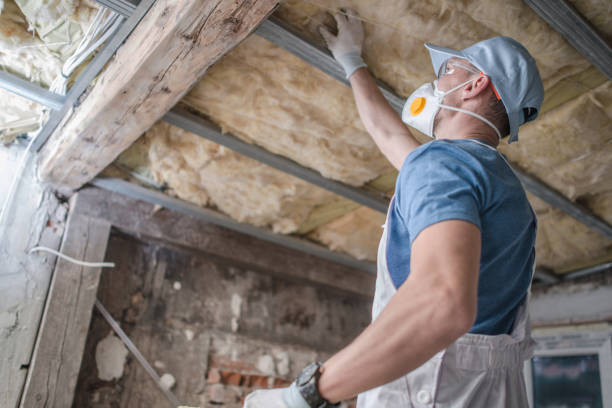 Best DIY Insulation Kits and Guidance in Rineyville, KY