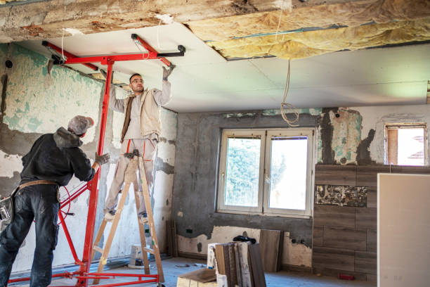 Best Fiberglass Insulation in Rineyville, KY